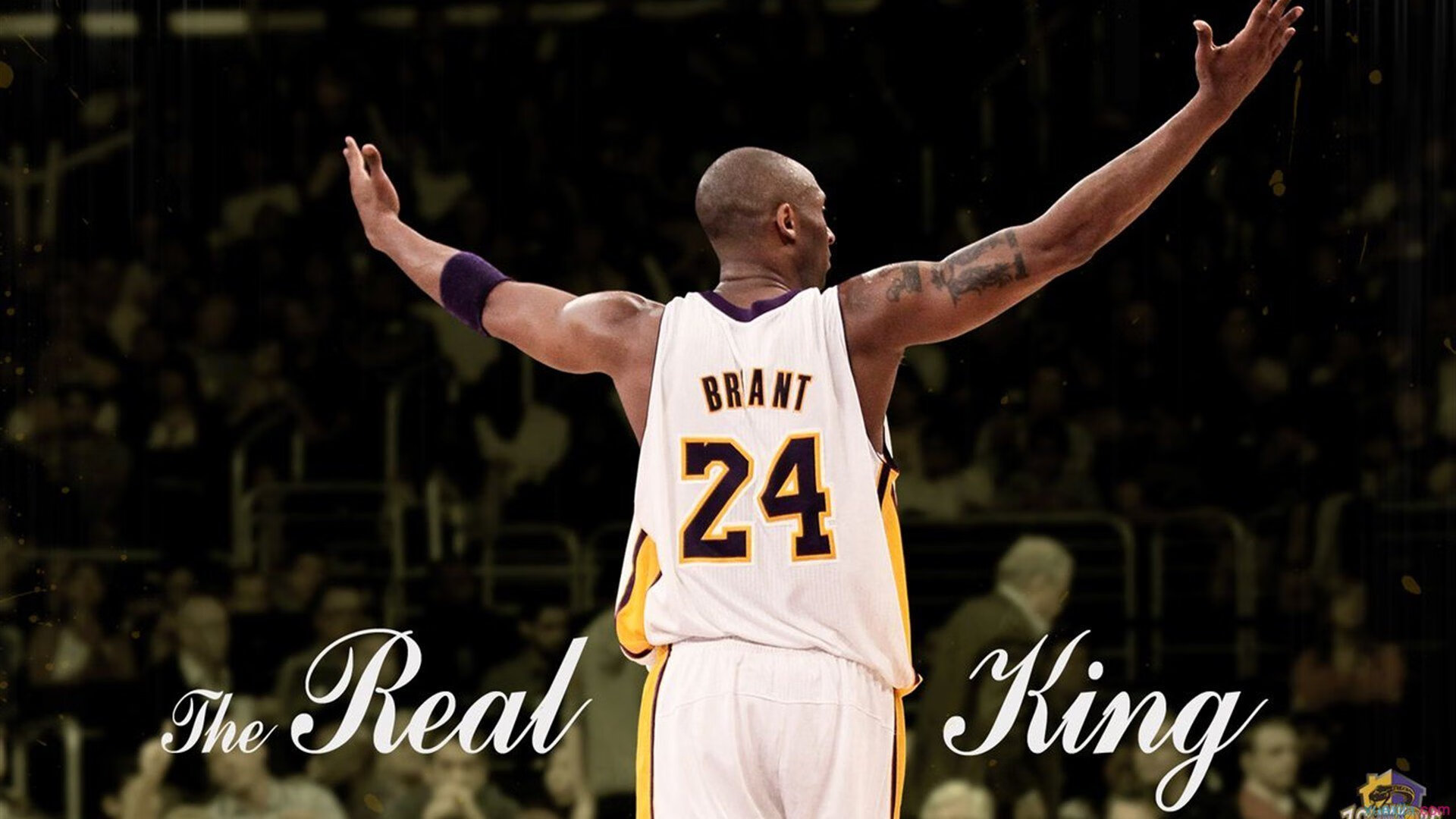 切特贡献制胜表现，鹈鹕逆转爵士